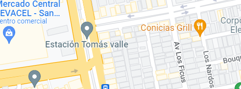 googleMaps